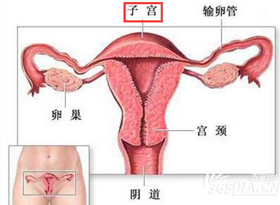 功能失调性子宫出血