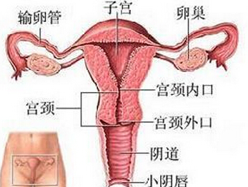 功能失调性子宫出血