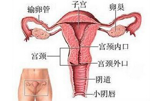 功能失调性子宫出血