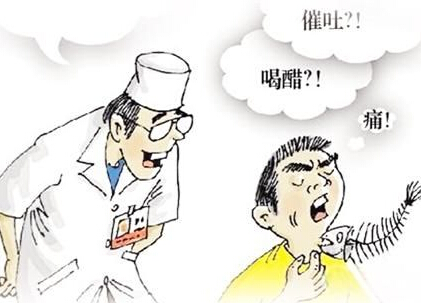 鱼刺卡喉