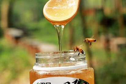 野生蜂蜜