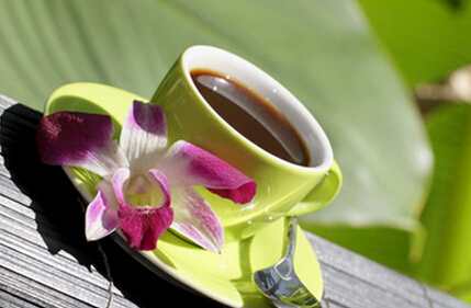 多喝茶