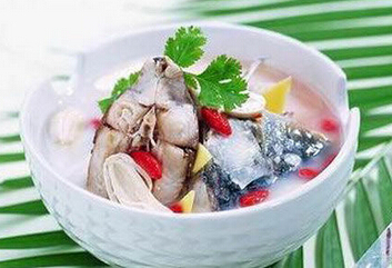 鲤鱼汤