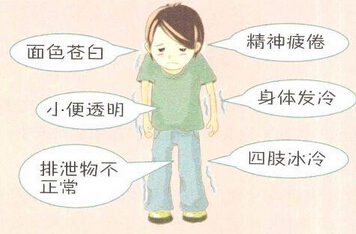 阳虚体质