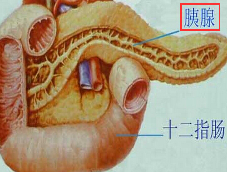 胰腺癌