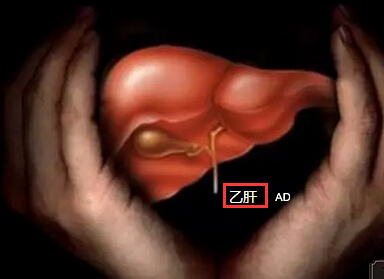 乙肝