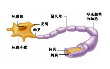 格林巴利