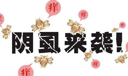 阴虱病