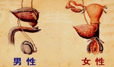 男女尿路感染.png