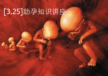 助孕知识.png