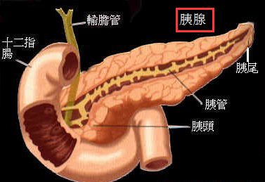 胰腺炎.png