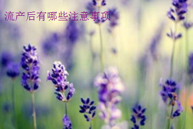 流产后注意事项.png