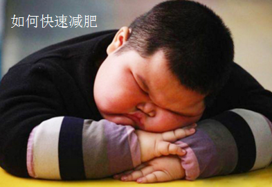 减肥.png