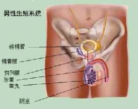 精囊炎注意事项