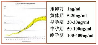 孕酮水平监测