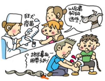 狂犬病的病因