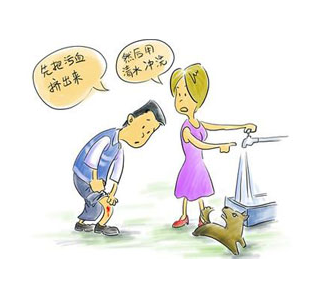 狂犬病该怎么预防
