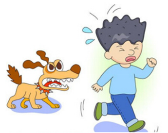 狂犬病该怎么预防