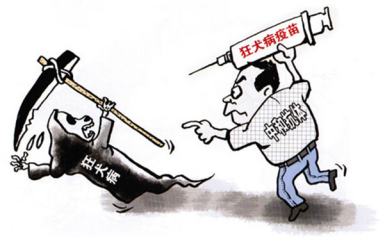 狂犬病该怎么预防
