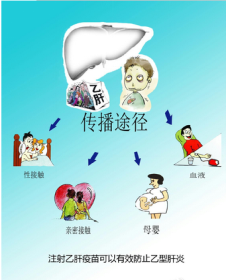乙肝的传播途径