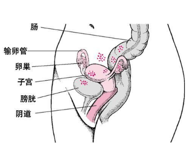 QQ截图20161101171039.png