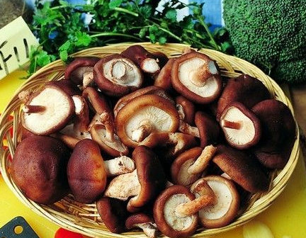 吃什么卵巢抗衰老