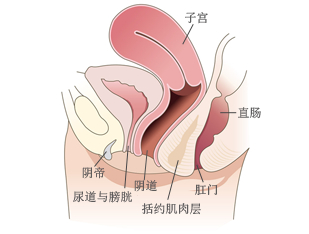 子宫切除后如何保养？