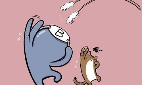 血型与健康