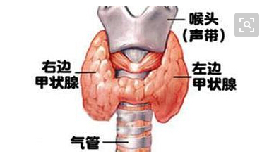 甲亢日常护理具体事项