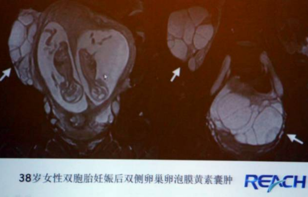 图片7