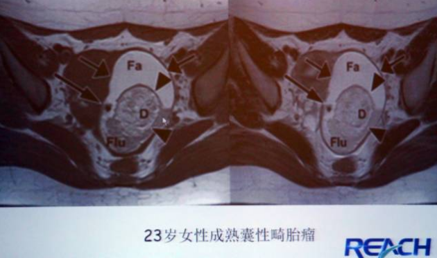图片8