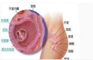 子宫内膜增厚危害