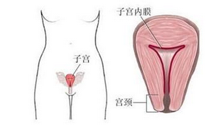子宫内膜增厚吃什么