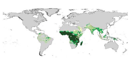 疟疾分布地图
