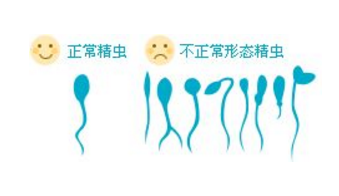 精子畸形率高怎么办