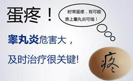 睾丸炎引发睾丸疼痛