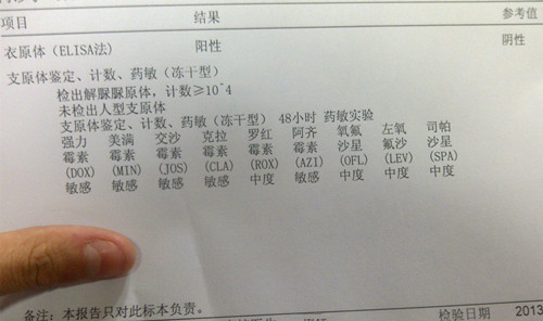 支原体衣原体阳性