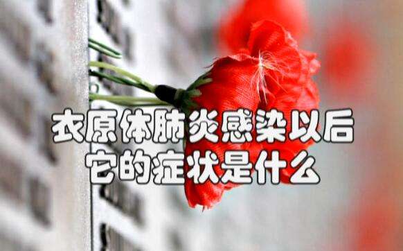 衣原体肺炎怎么治疗