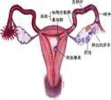 中医针灸如何治疗输卵管阻塞不孕