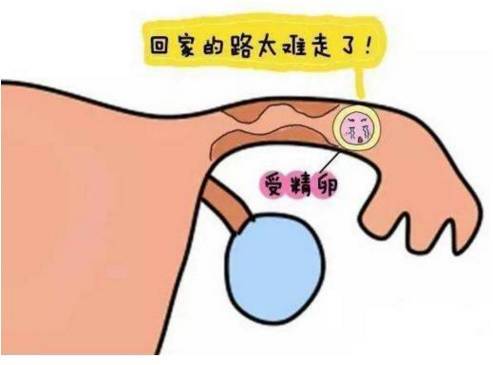 7abcc5ebab5d43239d38db7a725ae80c.jpeg