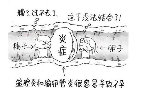 u=542558098,3940677411&fm=26&gp=0.jpg