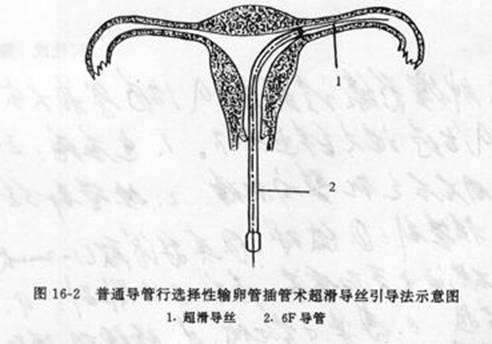 timg (3).jpg