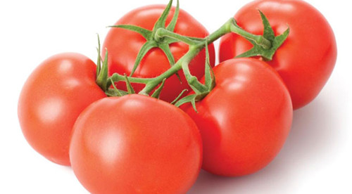 new_truss_tomatoes_副本.jpg