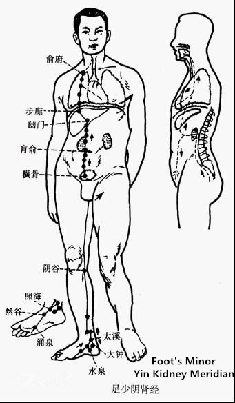 human Meridian diuretic pill.jpg