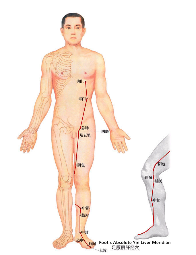 human Meridian diuretic and anti-inflammatory pill.png